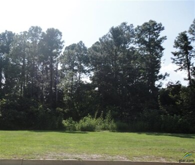 3710 Winding Way, Tyler, TX 75707 - photo 4