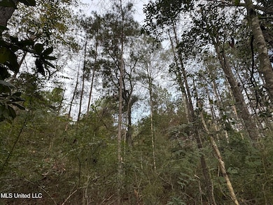 000 Elarton Rd, Osyka, MS 39657 - photo 6