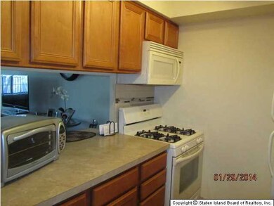 Elmwood Park Drive unit 209, Staten Island, NY 10314 - photo 2