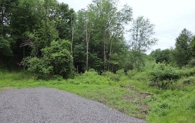 0 Slivko Rd unit LotWP001 17796563, Nassau, NY 12123 - photo 2