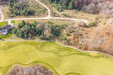 6054 Dublin Dr, Canadian Lakes, MI 49346 - photo 5