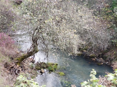 0 Eagle Nest Way unit 225015999, Oregon House, CA 95962 - photo 2