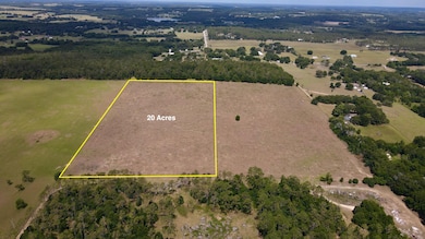 17306 Parrish Grove Rd, Dade City, FL 33523 - photo 3