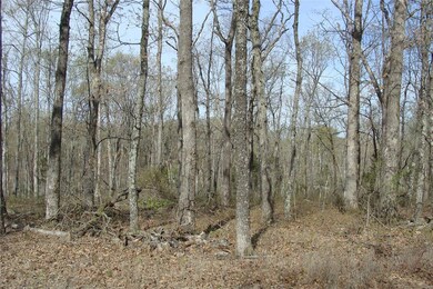 60 Bridle Trail Dr, Calvey Township, MO 63072 - photo 7