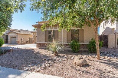 Low Maintenance Front Yard