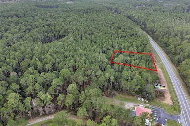 0 Hwy 40, Ocala, FL 34470 - photo 5