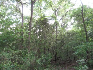 67.44 ac Cr 713, Nacogdoches, TX 75964 - photo 2