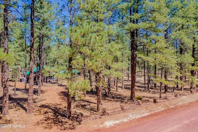 7621 E Jolly Rogue Ln, Williams, AZ 86046 - photo 5