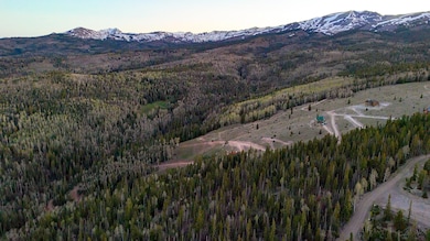 dji_fly_20250529_061403_0_1748520843285_