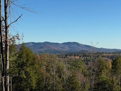 000 Shaker Rd unit 288, New London, NH 03257 - photo 3