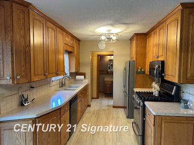 4014 S Duffield Rd, Lennon, MI 48449 - photo 6