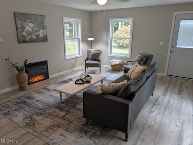 4622 S Apple Creek Rd, Apple Creek, OH 44606 - photo 2