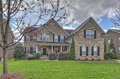 Beautiful & Mature Landscaping