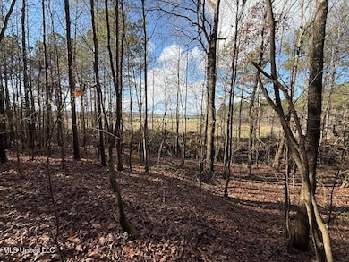 0 Beck Spring, Ashland, MS 38610 - photo 4