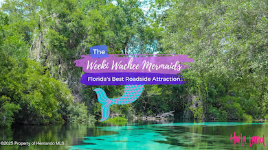 SH Weeki Wachee Sign