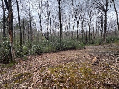 TBD Crooked Creek Ln, Fancy Gap, VA 24328 - photo 6