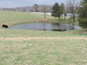 4-pond