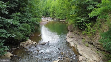 0 Abrams Creek - Oakmont Wv unit WVMI2000826, Elk Garden, WV 26717 - photo 5
