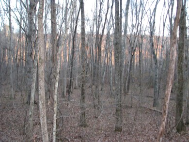 Great recreational tract!
