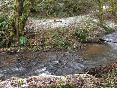 0 Beaver Creek Rd, Sheridan, OR 97378 - photo 2