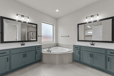 Owner's Bath