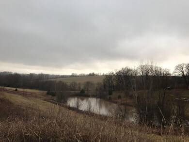 841 Black Sands, Nixa, MO 65714 - photo 2