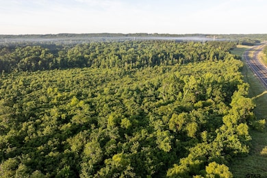 000 State Highway 155, Frankston, TX 75763 - photo 4