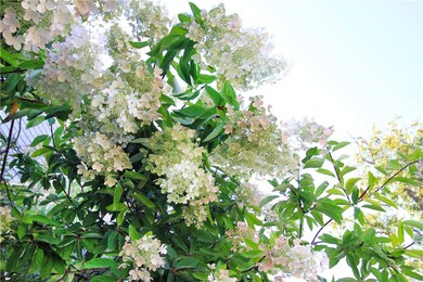 22 Bateman Ave, Newport, RI 02840 - photo 5