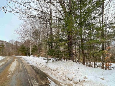 00 Fox Rd unit 18, Madison, NH 03849 - photo 3