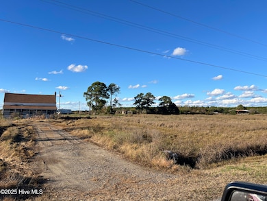 1507 White Plains Rd, Engelhard, NC 27824 - photo 4