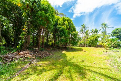 0 Ole St, Pahoa, HI 96778 - photo 4