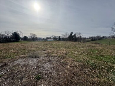 0 Dalton St, Albany, KY 42602 - photo 4