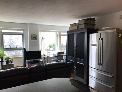 Hammond Park Condominiums unit 406, Chestnut Hill, MA 02467 - photo 4