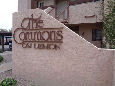 1215 E Lemon St, Tempe, AZ 85281-Commons