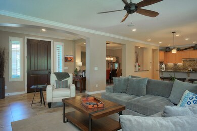 2470EBlueSpruce005