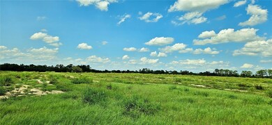 0 Mammoth Grove Rd unit MFRP4935048, Lake Wales, FL 33898 - photo 6