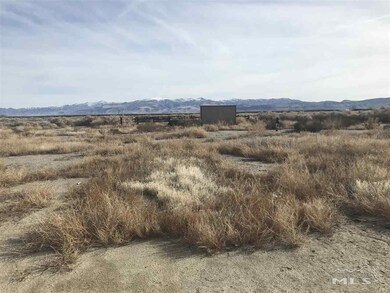 4470 Portuguese Ln, Fallon, NV 89406 - photo 3