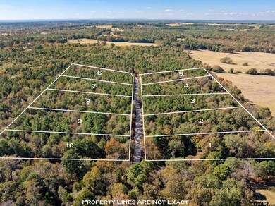 Lot 2 Creek Bend Trail, Troup, TX 75789 - photo 4