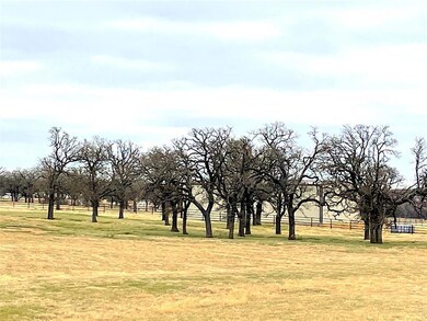 2025 Swallow Tail Ct, Poolville, TX 76487 - photo 5