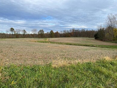 0 Collins Riley Rd unit 1825515, Blanchester, OH 45107 - photo 4