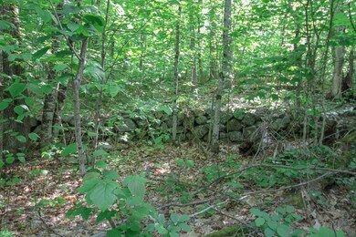 Vintage Granite Stone Walls