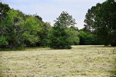 TBD W Fm 71, Talco, TX 75487 - photo 7