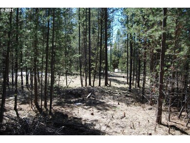 0 Barrett St unit 20022010, Granite, OR 97877 - photo 6