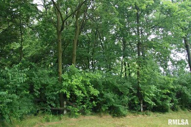 4009 E Rome Rd, Chillicothe, IL 61523 - photo 3