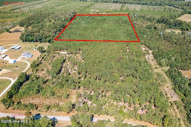 780 Campbell Rd, Vanceboro, NC 28586 - photo 2