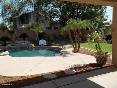 backyard from patio