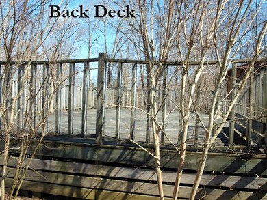 779 Paran Rd, Cookeville, TN 38506 - photo 5