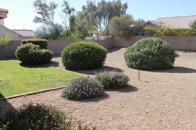 2-Backyard