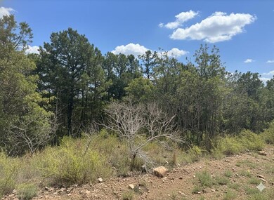 0 SW 234th Rd, Tuskahoma, OK 74574 - photo 5