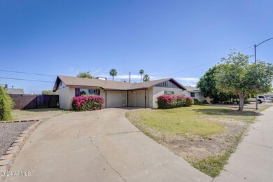 Front Yard